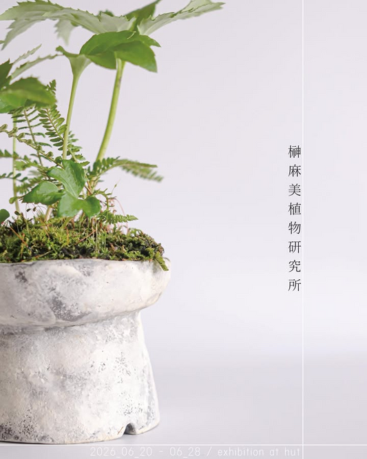 榊麻美植物研究所exhibition2026が植物屋ARAYAで開催、山野草や手捻り鉢と草飾りを展示