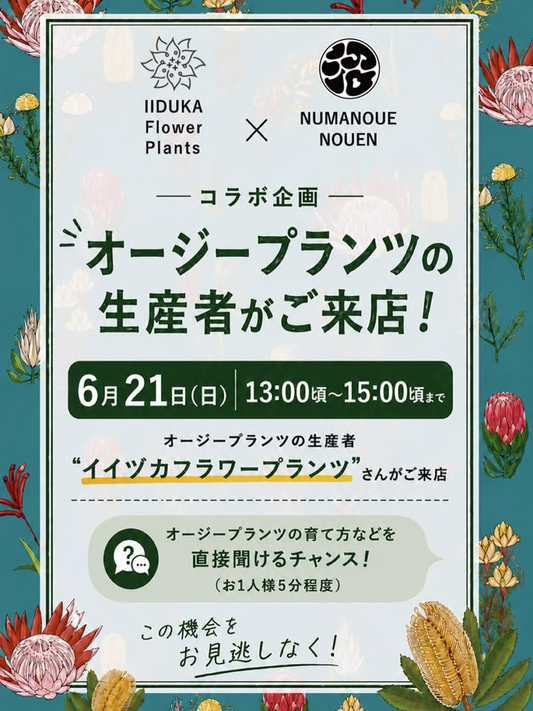 沼ノ上農園オージープランツ生産者来店イベント2026がさいたま市で開催、イイヅカフラワープランツに育て方を直接聞ける機会