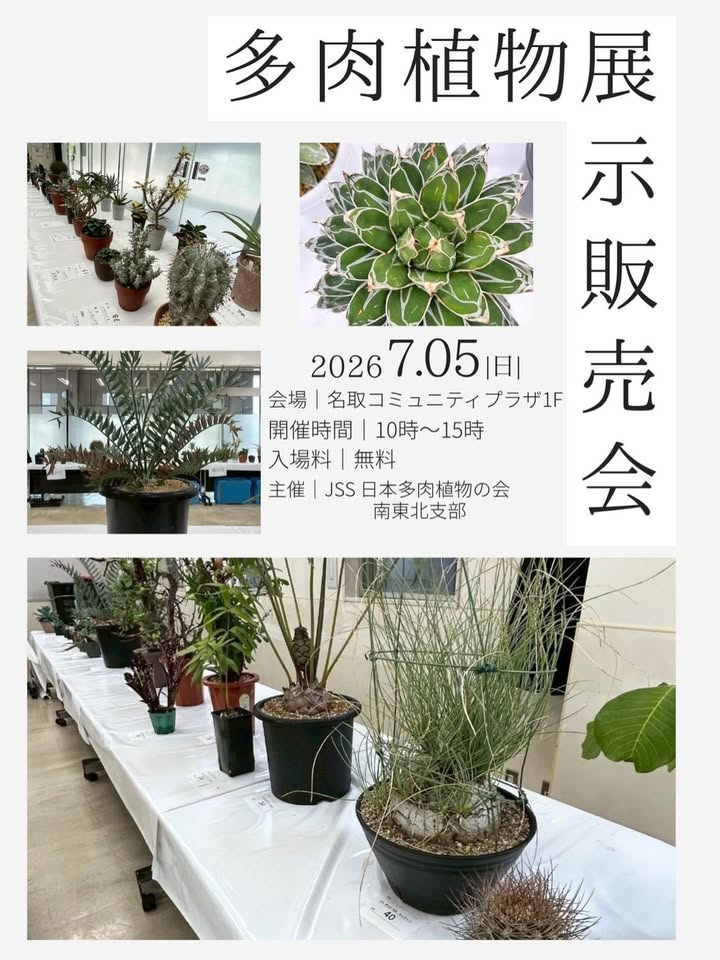 多肉植物展展示販売会2026がJR名取駅コミュニティプラザで開催、アガベや塊根植物も楽しめる展示販売会