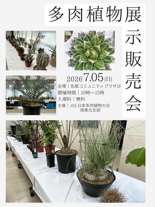 多肉植物展展示販売会2026がJR名取駅コミュニティプラザで開催、アガベや塊根植物も楽しめる展示販売会