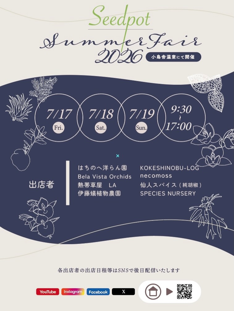 SeedpotSummerFair2026が小島舎Seedpot温室で開催、蘭や蟻植物とティランジアなど専門店が集結