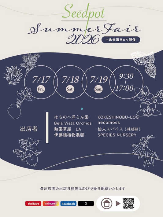 SeedpotSummerFair2026が小島舎Seedpot温室で開催、蘭や蟻植物とティランジアなど専門店が集結