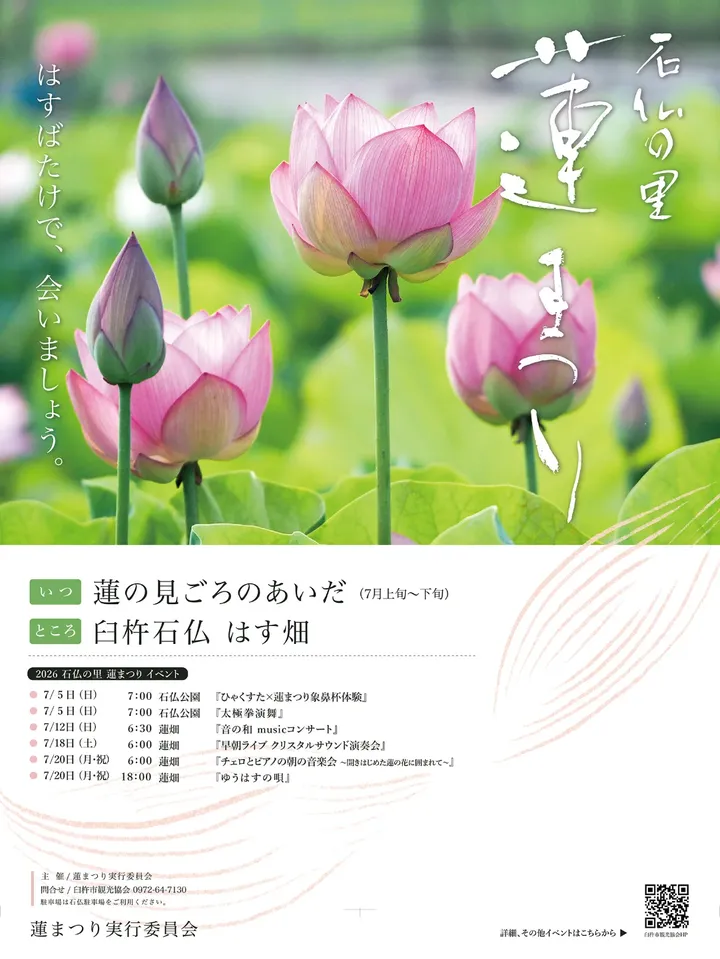 石仏の里蓮まつり2026が臼杵石仏蓮畑で開催、蓮鑑賞と早朝イベントを楽しめる夏の催し