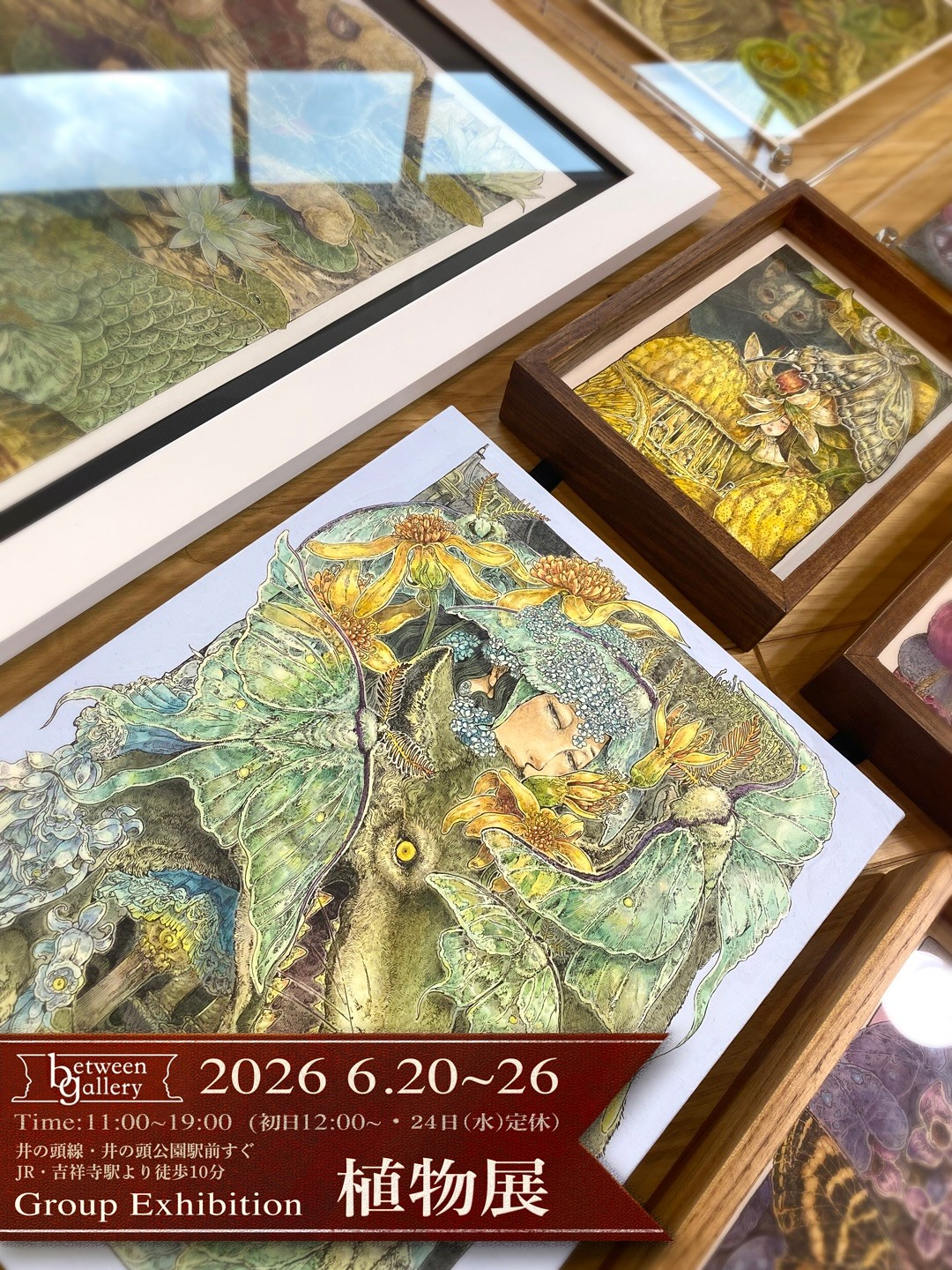 GroupExhibition植物展2026がbetweengalleryで開催、複数作家の植物作品が井の頭公園駅前に集結
