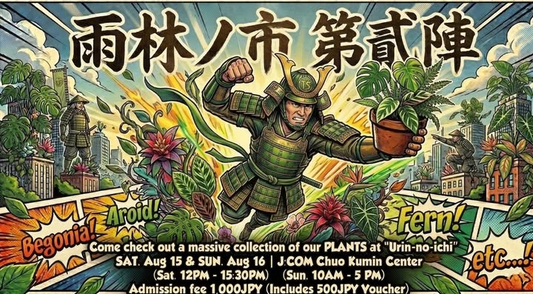 雨林ノ市第貳陣2026がJCOM中央区民センターで開催、熱帯雨林植物の専門店や愛好家が集結