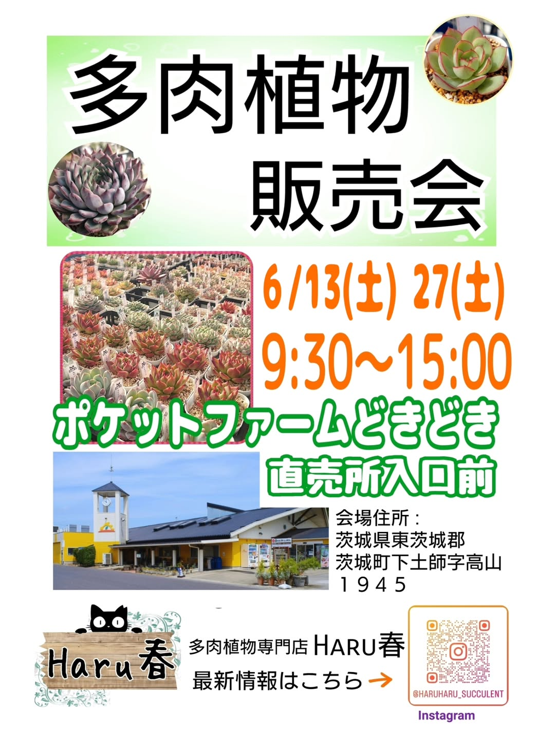 多肉植物販売会2026がポケットファームどきどき茨城町店で開催、Haru春が苗や希少品種を販売