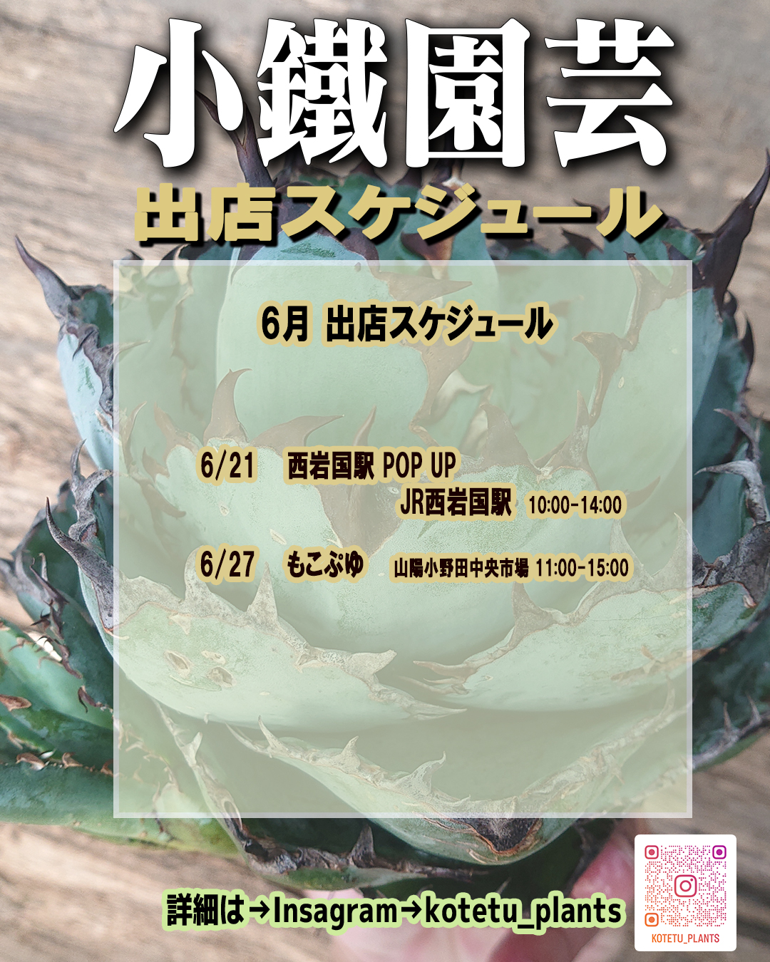西岩国駅POPUP2026が農産物直売所旬彩館で開催、hmplan2が塊根植物や多肉植物を販売