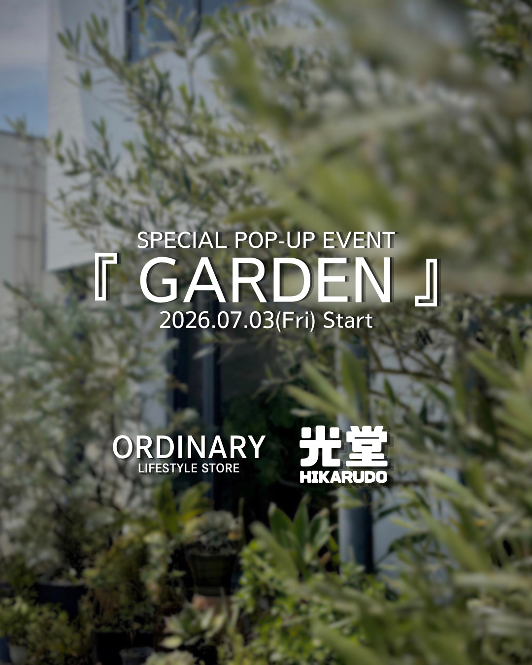 ORDINARYGARDEN2026がordinaryで開催、光堂の塊根植物やアガベが初の実店舗販売に - リーフラ編集部