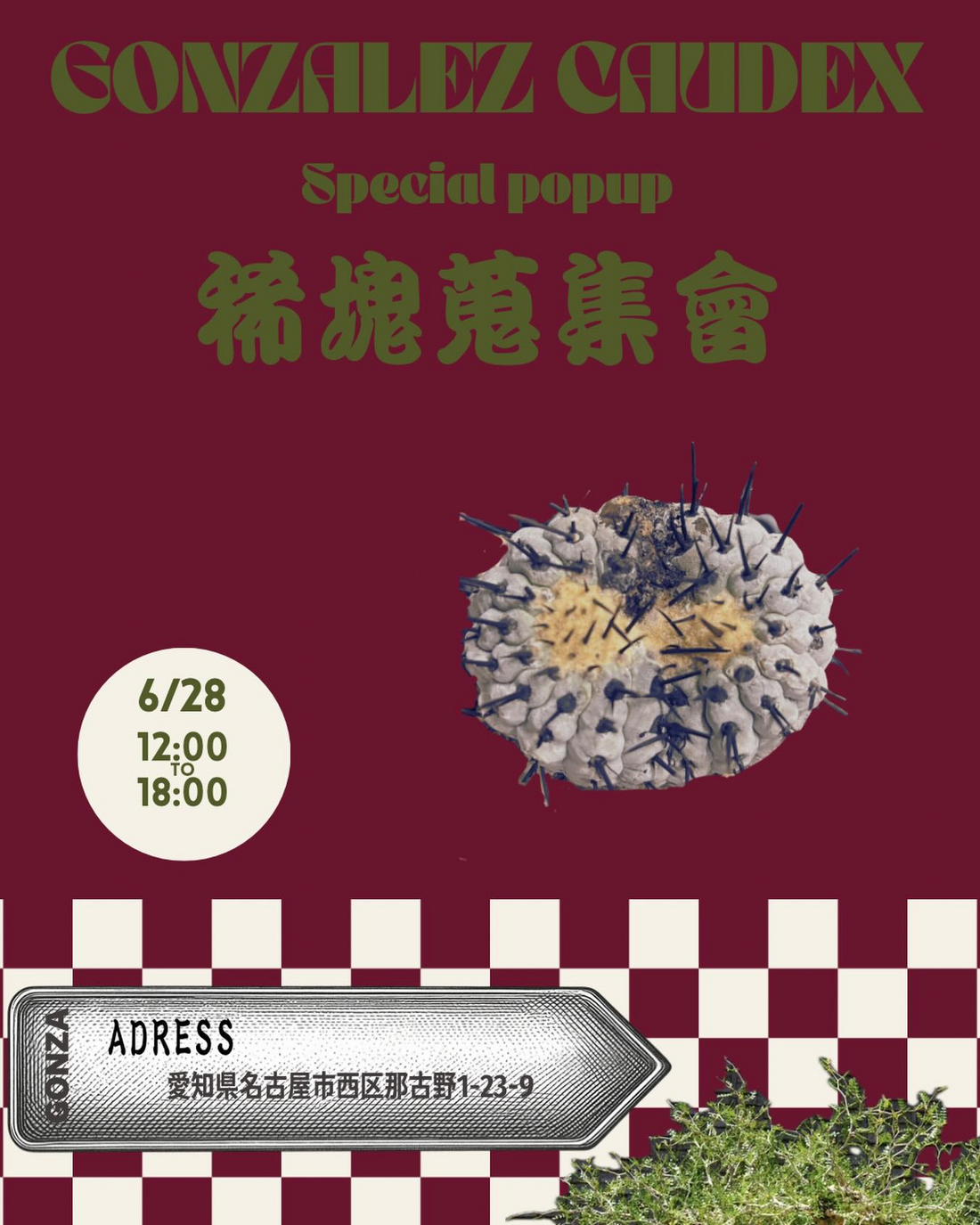 GONZALEZCAUDEXSpecialpopup稀塊蒐集會2026が長屋styleで開催、世界各地の塊根植物を展示販売