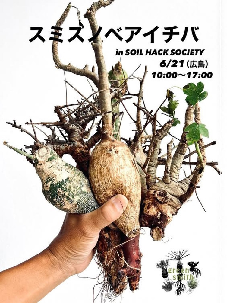 緊急ベアルート株販売2026がSOILHACKSOCIETYで開催、灌木中心の希少未発根株を販売