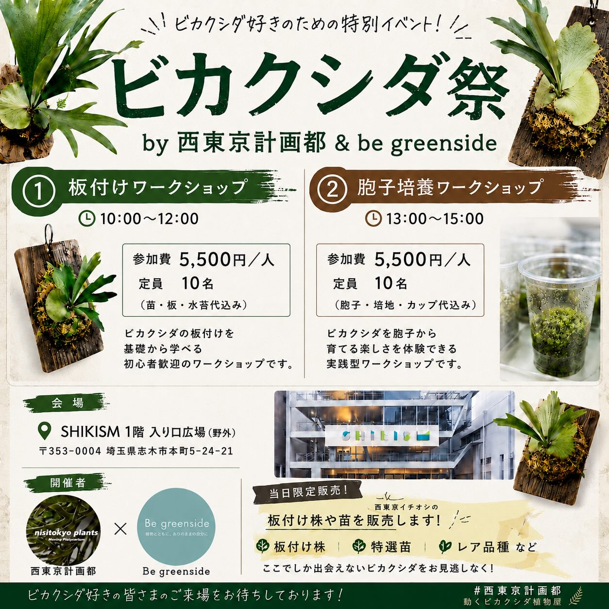 ビカクシダ祭2026がSHIKISMで開催、西東京計画都とbegreensideが板付け
