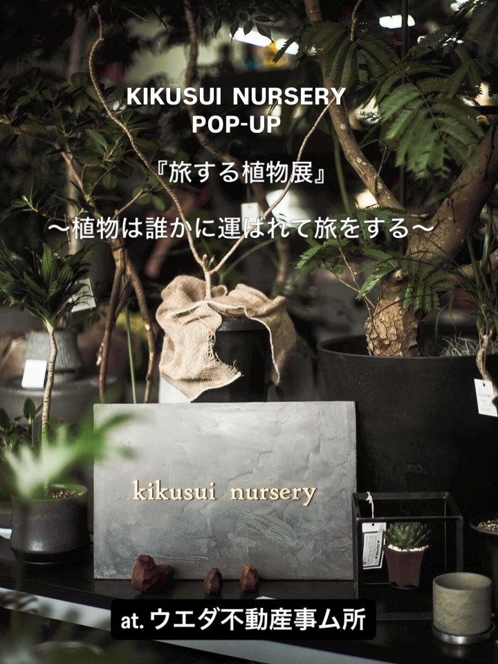 KIKUSUI NURSERYが2026年6月に旅する植物展を開催、暮らしに合う一鉢を探す植物販売会