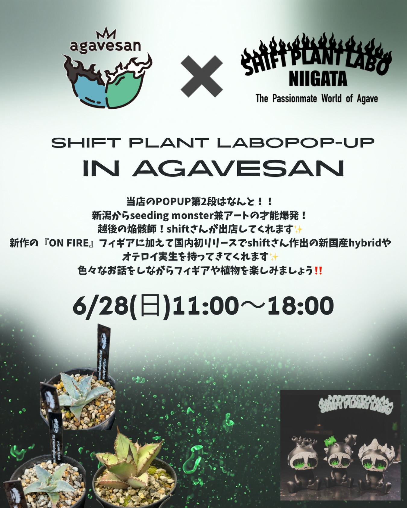 agavesanが2026年6月にSHIFT PLANT LABO NIIGATAのPOP-UPを開催