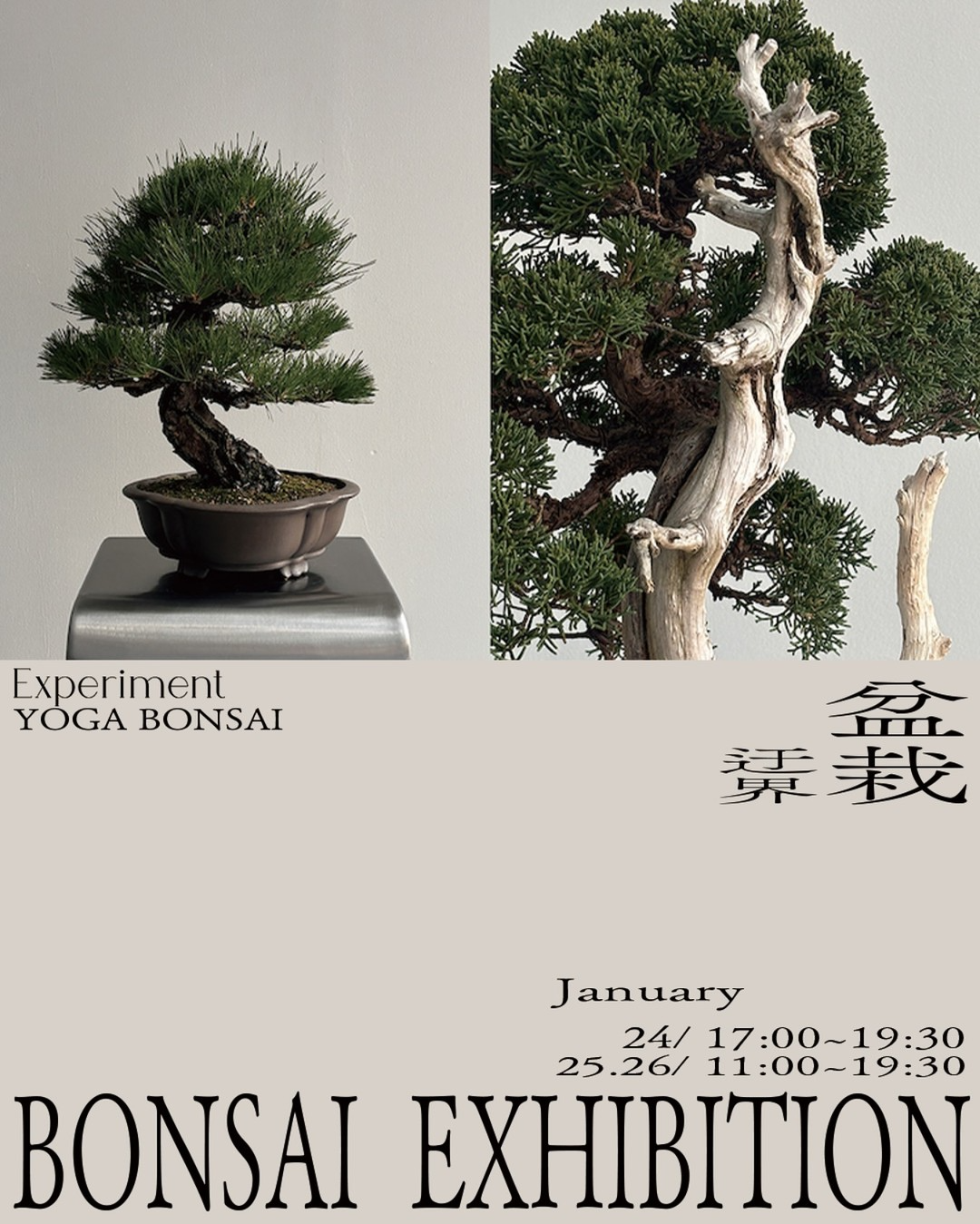 Experimentと用賀盆栽がBONSAI UKAI迂界プロジェクトを始動、現代的解釈で盆栽文化の新たな魅力を発信