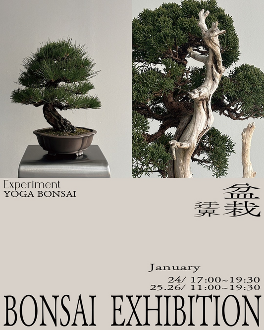 Experimentと用賀盆栽がBONSAI UKAI迂界プロジェクトを始動、現代的解釈で盆栽文化の新たな魅力を発信