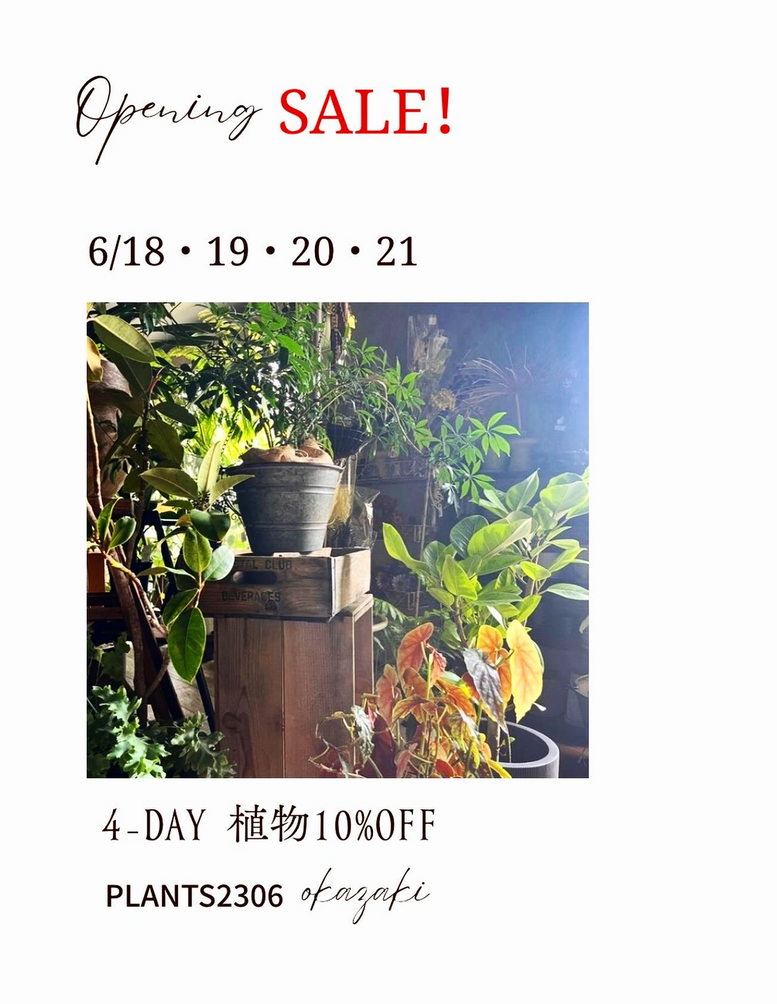 PLANTS2306岡崎店が2026年6月にOPENING SALEを開催、店内植物が4日間限定で10％OFF