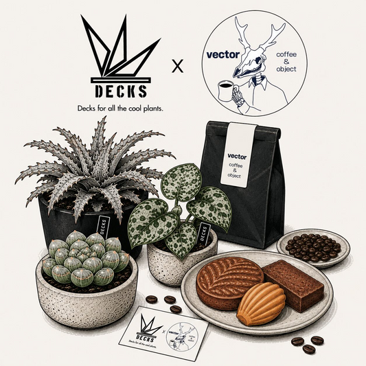 DECKSとcoffeevectorが2026年6月にコラボ出店を開催、植物とコーヒー豆や焼き菓子を販売