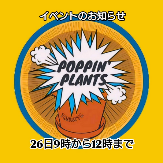 多肉屋POPPIN'PLANTSが伊木山ガーデンとうはちで移動販売会を開催、多肉植物の魅力を2会場で発信