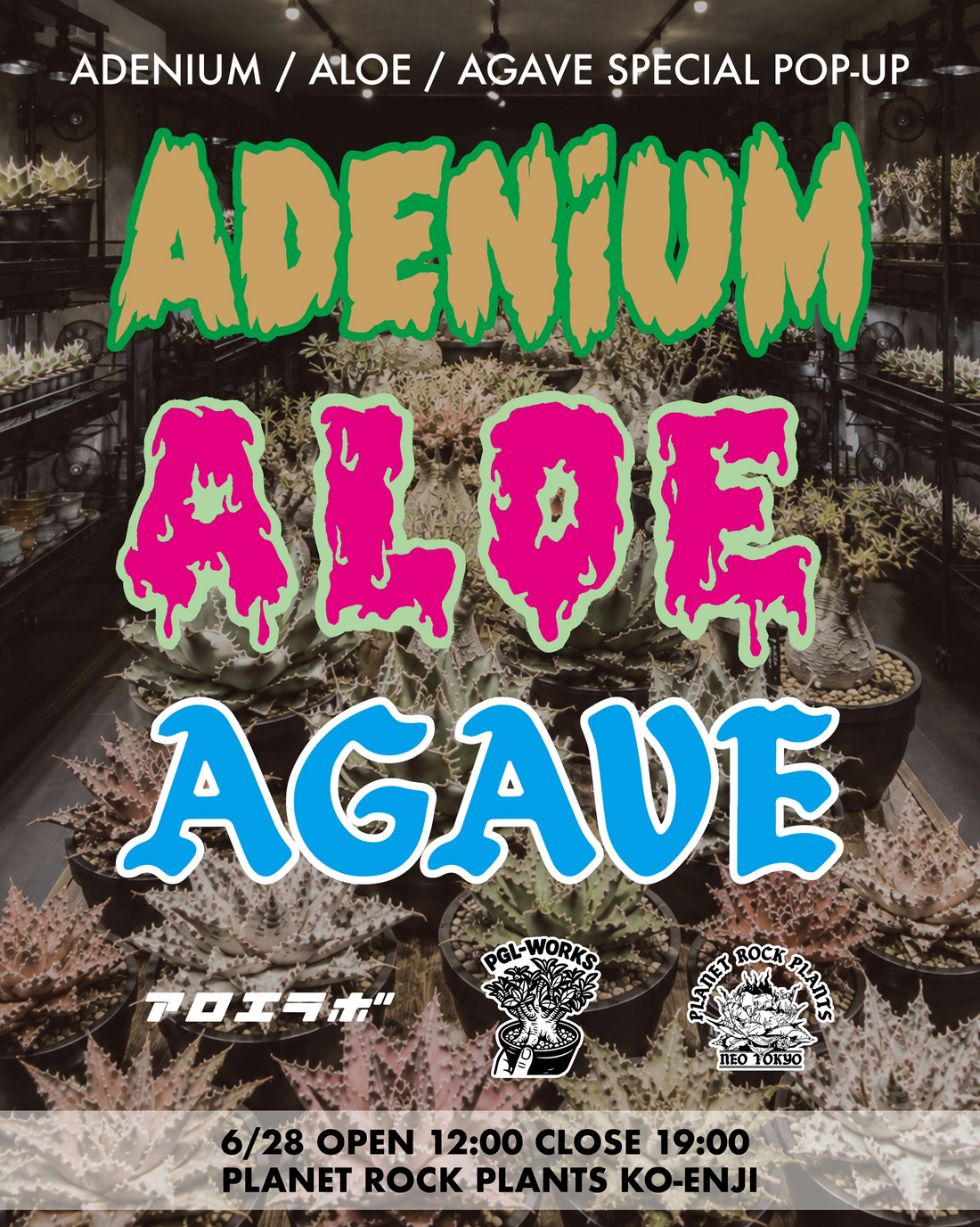 PLANETROCKPLANTS高円寺本店が2026年6月にSPECIALPOPUPを開催、アデニウムやアロエとアガベが集結