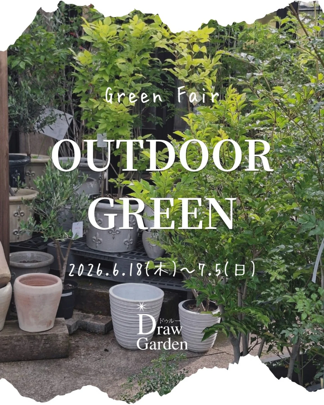 DrawGardenが2026年6月にGREENFIARを開催、観葉植物や庭木と鉢などのセールを実施