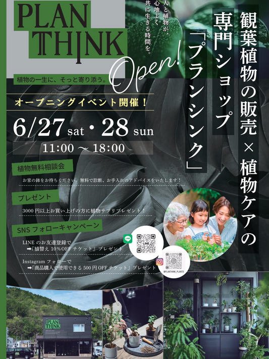 PLANTHINKが2026年6月にオープニングイベントを開催、観葉植物販売と無料相談会を実施