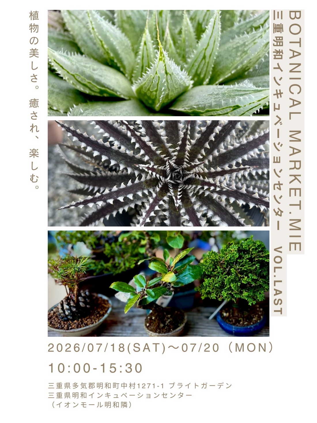 BOTANICAL MARKET.MIE2026が三重明和インキュベーションセンターで開催、植物販売とキッチンカーが3日間に集結