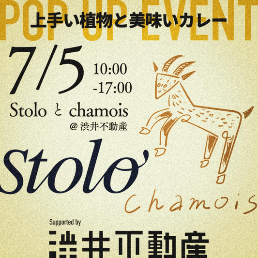 渋井不動産が上手い植物と上手いカレー2026を開催、stoloの植物展示販売とchamoisのスパイスカレーが心斎橋に