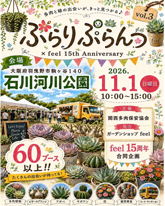 ぶらりぷらんつvol.3×feel15thAnniversary2026が石川河川公園で開催、アガベやハオルチアなどの多肉植物と園芸雑貨が集結