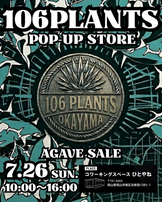 106PLANTSPOPUPSTOREAGAVESALE2026が岡山で開催、初心者向け植物とアガベ販売をひとやねで実施