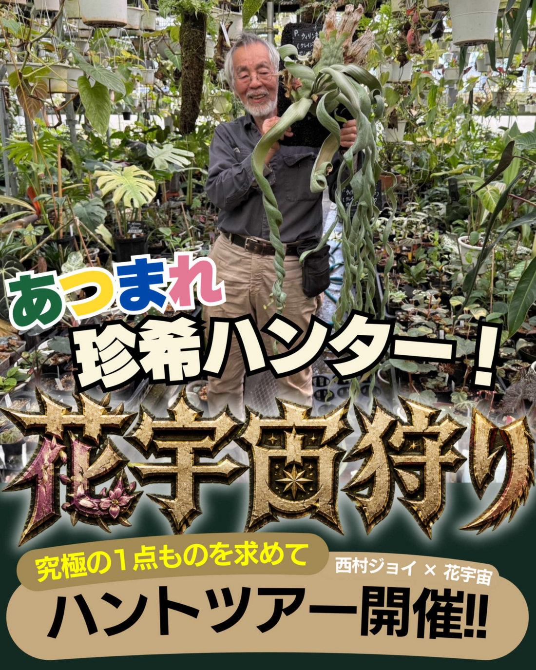 西村ジョイが花宇宙狩りツアー2026を開催、秘密の温室公開と植物買い付け体験を40名限定で実施