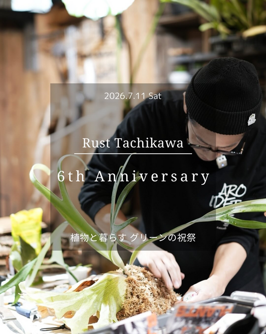 BACKPLAINPLANTSSpecialWorkshop2026が立川で開催、ビカクシダの板付け体験を6名限定で実施