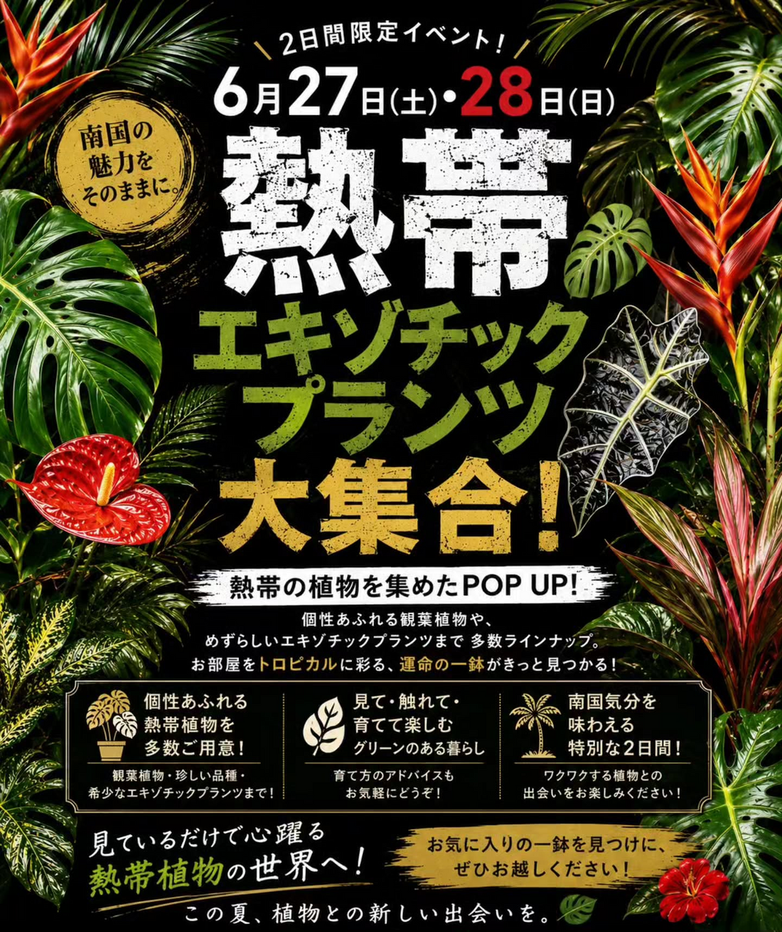 熱帯エキゾチックプランツ大集合2026がSPROUTBRITOMART店で開催、観葉