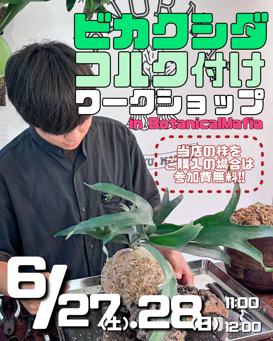 BotanicalMafia荻窪コルク付けワークショップ2026が開催、ビカクシダの