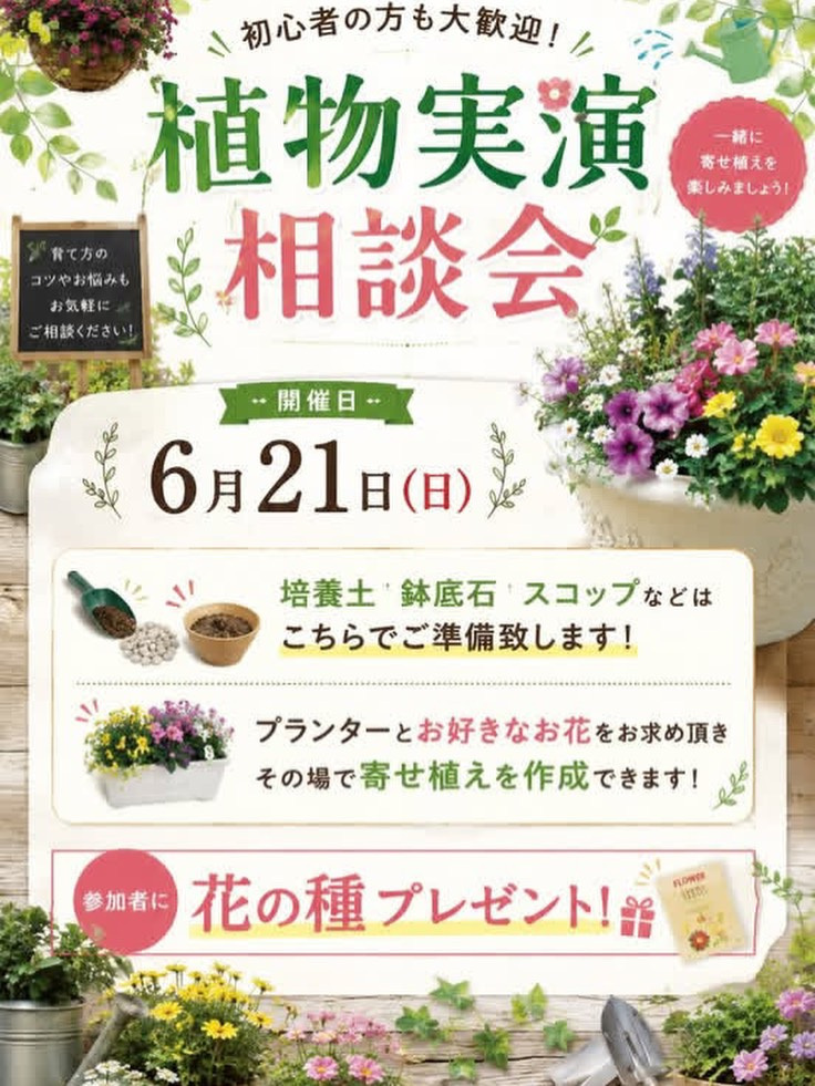 植物実演相談会2026がダイユーエイト須賀川東店で開催、寄せ植え作成と育て方相談を実施