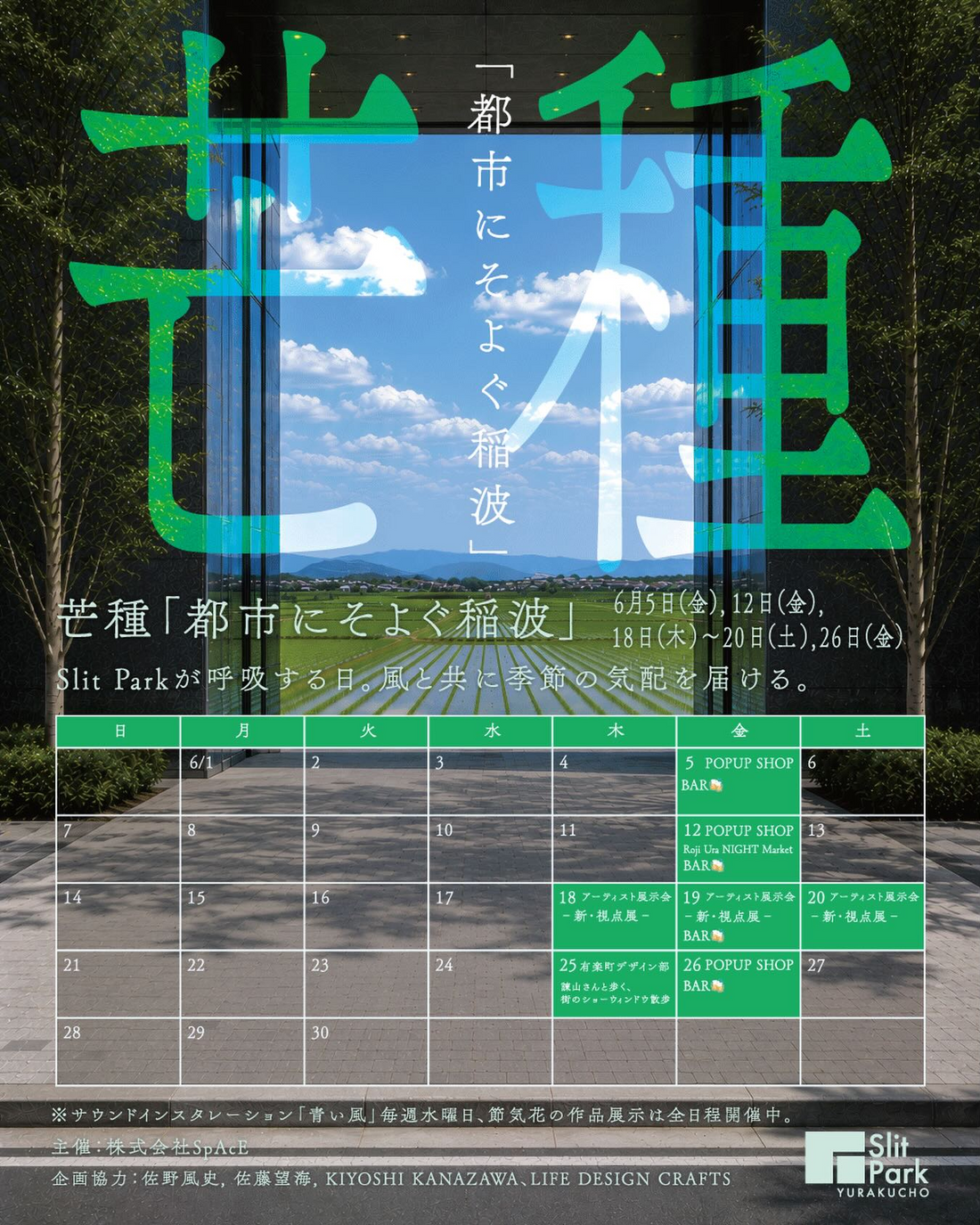 芒種都市にそよぐ稲波2026がSlitParkYURAKUCHOで開催、企画展と音と節気花を展開