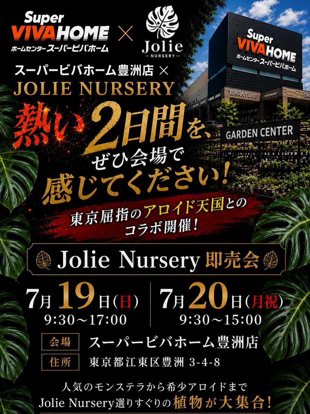 スーパービバホーム豊洲店JolieNursery即売会2026が開催、モンステラと希少アロイドを販売 - リーフラ編集部