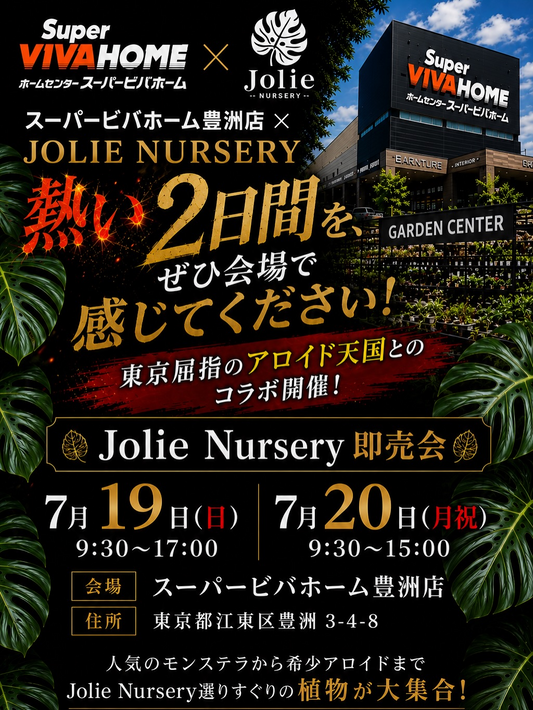 スーパービバホーム豊洲店JolieNursery即売会2026が開催、モンステラと希少アロイドを販売