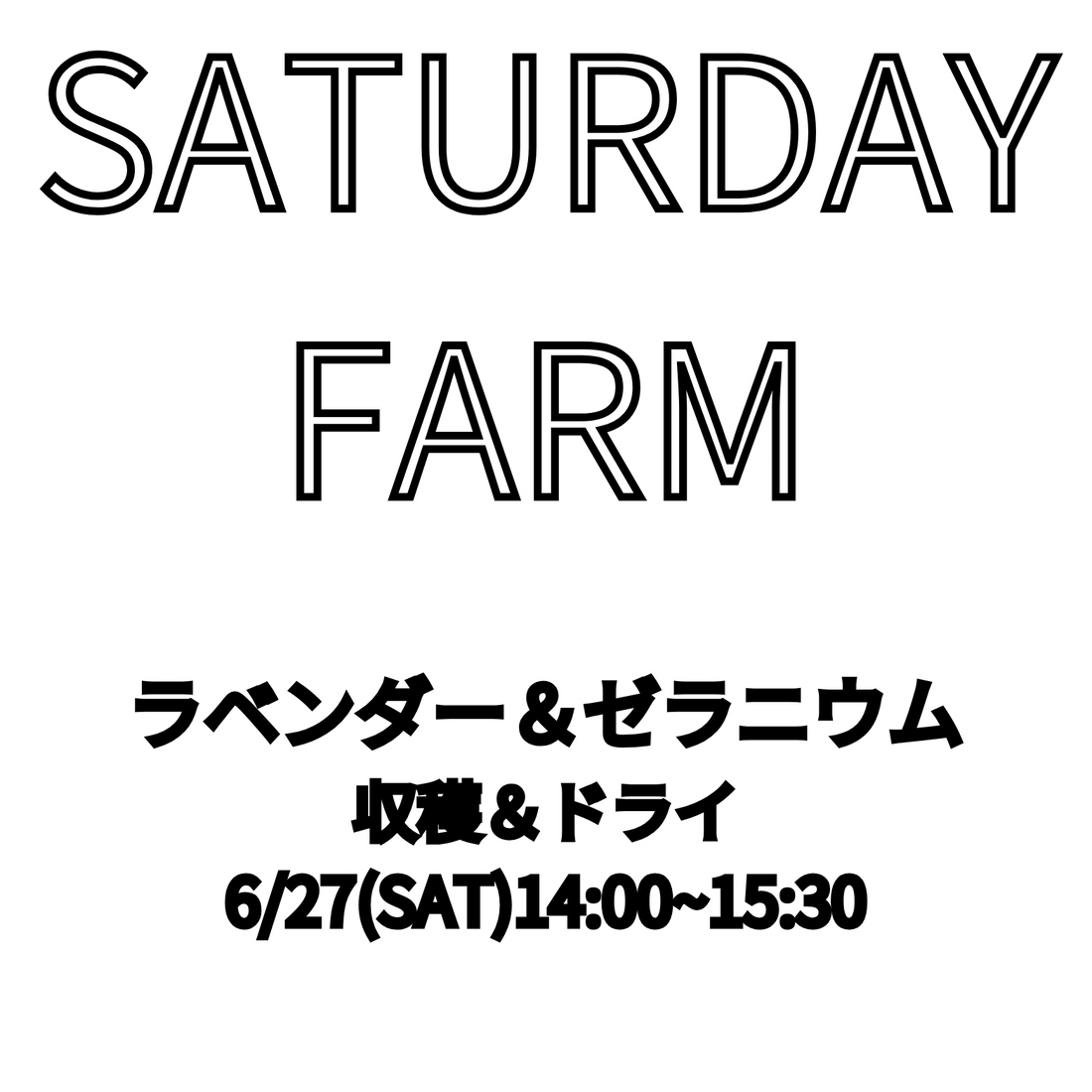 SATURDAY FARM2026が渋谷区ふれあい植物センターで開催、ラベンダーとゼラニウムの収穫作業を実施