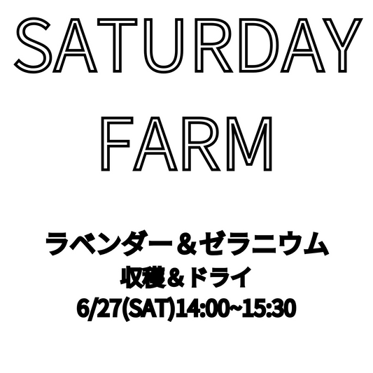 SATURDAY FARM2026が渋谷区ふれあい植物センターで開催、ラベンダーとゼラニウムの収穫作業を実施