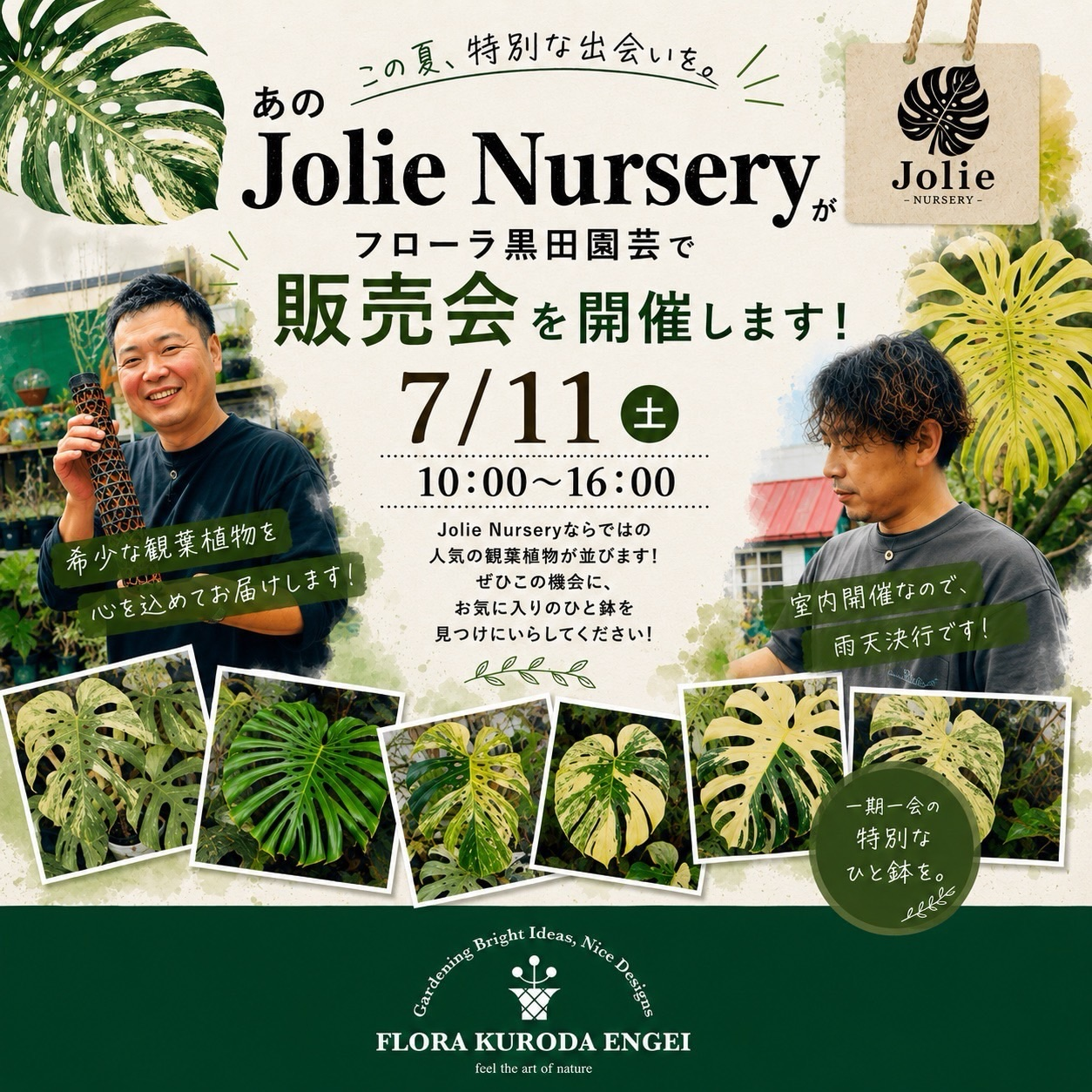 JolieNursery販売会2026がフローラ黒田園芸で開催、レアなモンステラと観葉植物を販売 - リーフラ編集部