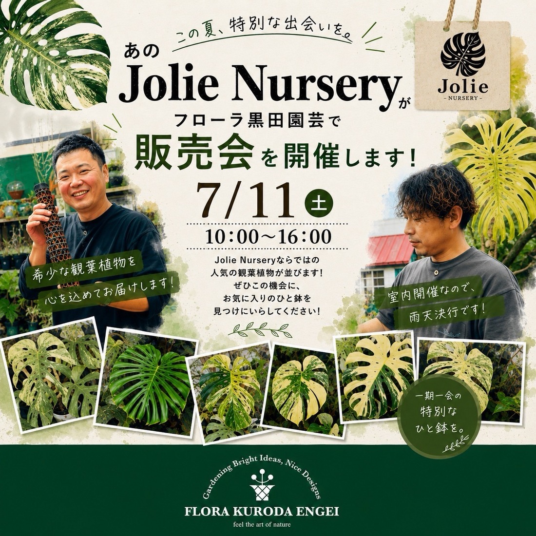 JolieNursery販売会2026がフローラ黒田園芸で開催、レアなモンステラと観葉植物を販売