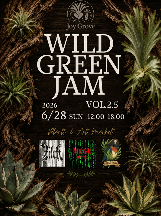 Joy GroveがWILD GREEN JAM vol.2.5を開催、アガベやビカクシダの特別編が明石市に集結