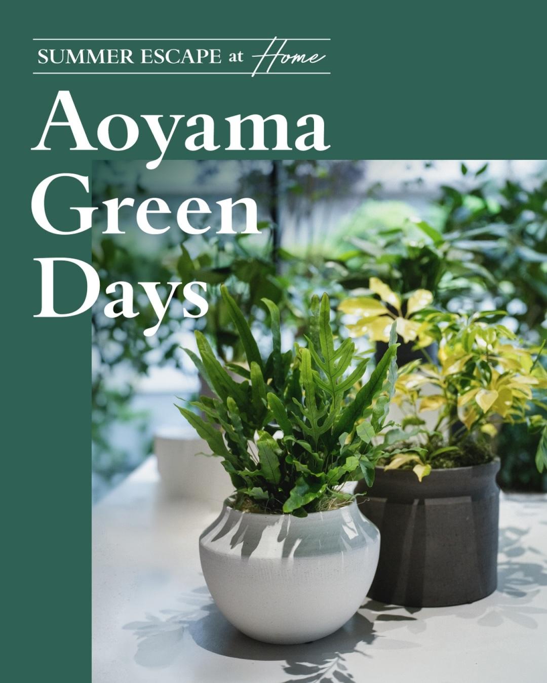 BALMUDA The Store AoyamaがAoyama Green Daysを開催、グリーン販売とサシェづくりが青山の夏企画に