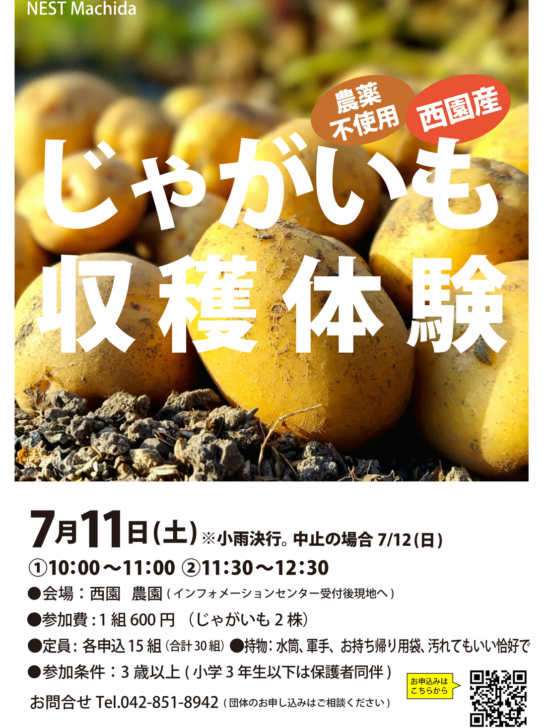 薬師池公園ウェルカムゲートがじゃがいも収穫体験を開催、西園産の農薬不使用じゃがいもを親子で収穫