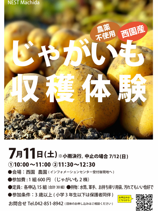 薬師池公園ウェルカムゲートがじゃがいも収穫体験を開催、西園産の農薬不使用じゃがいもを親子で収穫