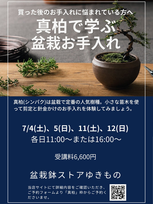 盆栽鉢ストアゆきものが真柏で学ぶ盆栽お手入れを開催、剪定と針金かけの体験が荻窪で実施