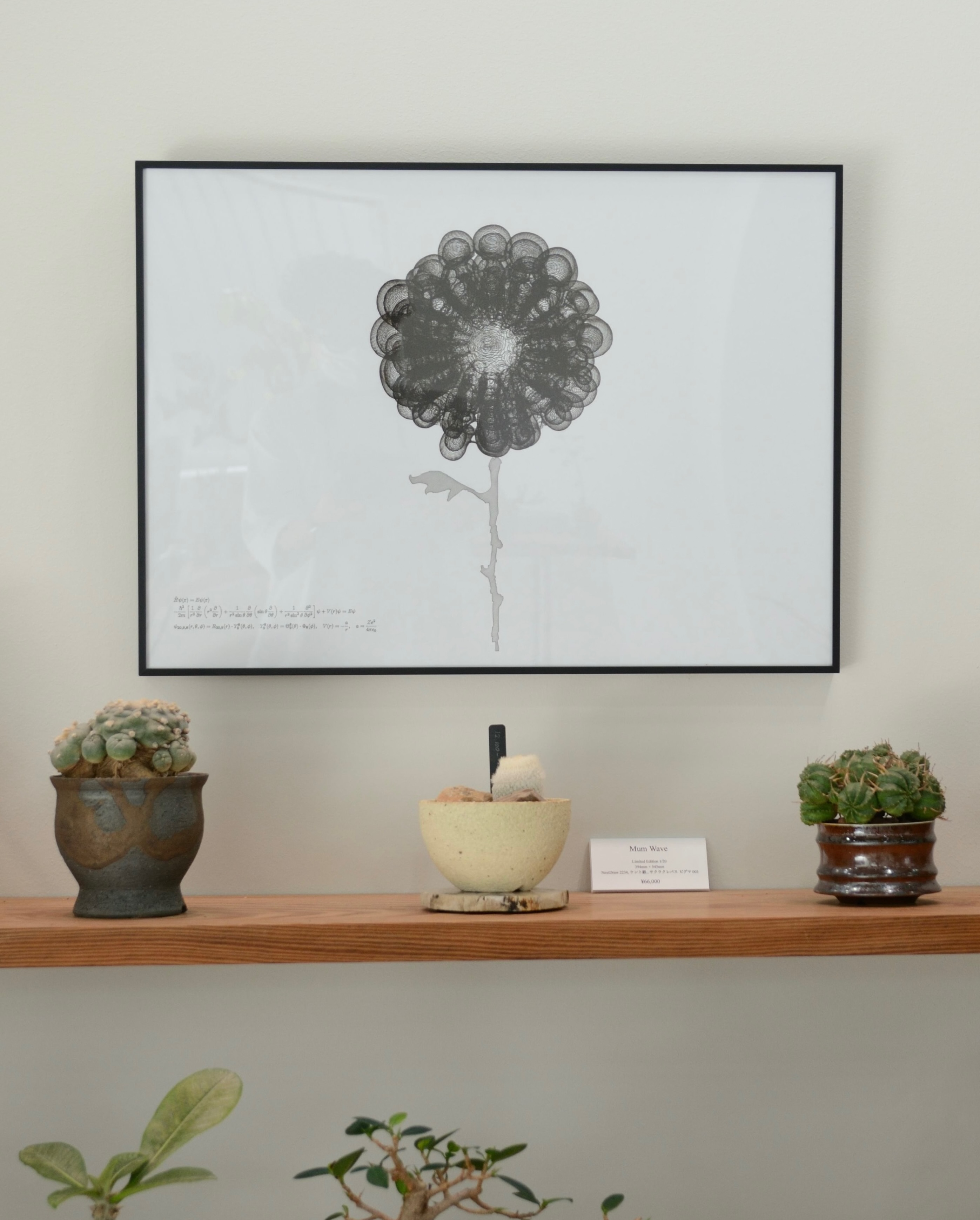 Masaki KatoがMEGASHEEPで個展を開催、電子と植物の電気信号を可視化する作品を展示 - リーフラ編集部