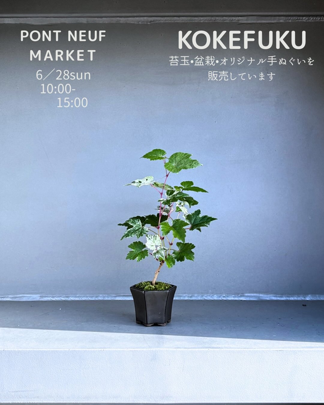 PONT NEUF MARKET2026が徳島で開催、KOKEFUKUの苔玉や盆栽が8番ブースに登場 - リーフラ編集部