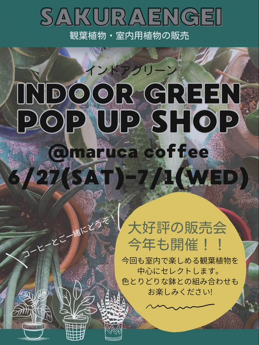 INDOOR GREEN POP UP SHOP2026が梅島で開催、SAKURAENGEIの観葉植物と鉢がmaruca coffeeに登場