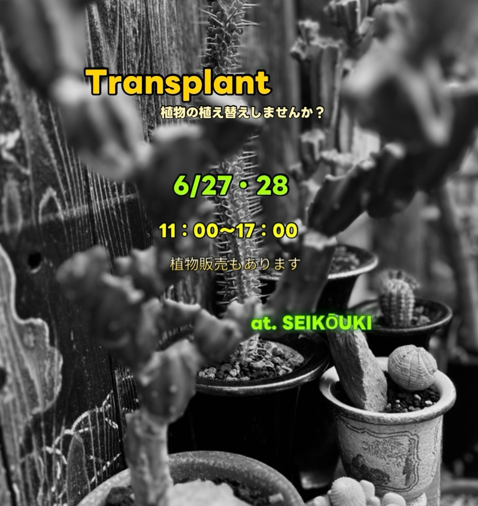 Transplant2026が東久留米で開催、植物の植え替え受付と販売をOtto Worksで実施